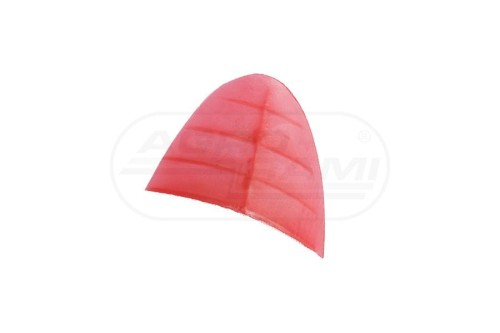 7a9dba2dfe4312348e7e560d9879e1b9