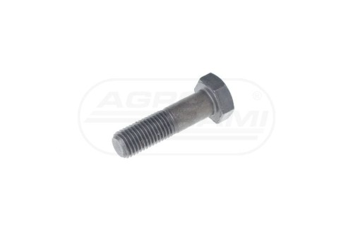 98e908ec21b743cdc675d2182ccf2206