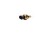 575e29f1af0b66a70ea86dbce19e3520