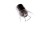 4ca7c12f498fd30d97f250fe31b100d5