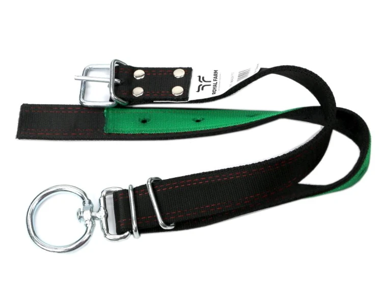 ae5d352b9da1448c866b30d58836624d