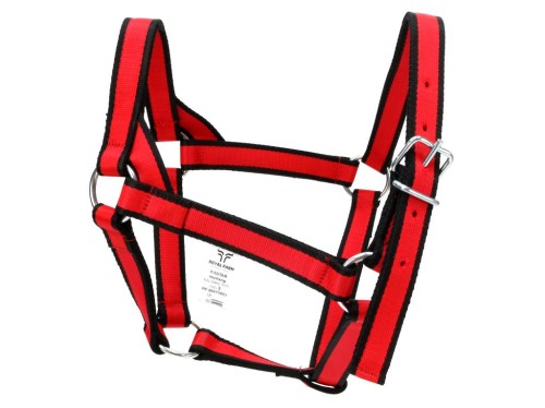 44cc5081ffe60ec7301cedb950f6e43c