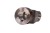 5a6a6fdf3e3d2446945b738eaa1ca39d